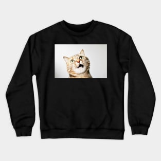 Aye Aye Capn Crewneck Sweatshirt